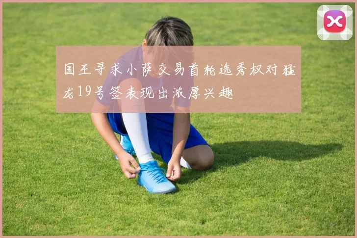 国王寻求小萨交易首轮选秀权对猛龙19号签表现出浓厚兴趣